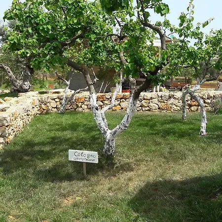 公寓 Borgo I Perruccio 卡萨拉诺